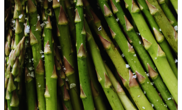 rebung asparagus dan kalian adalah contoh sayuran yang diambil manfaatnya pada bagian picture